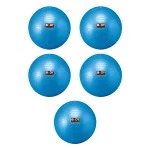 comfort performance body sculpture gym ball