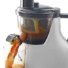 high torque induction motor juicer