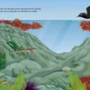 ocean adventure stickers