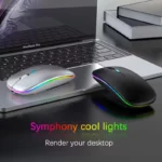 sleek dual connectivity mouse