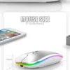 sleek dual connectivity mouse uk london